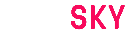 NINESKY Logo